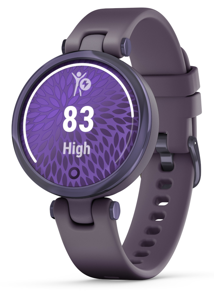 Garmin Lily Running Watch with Pedometer - Midnight Orchid Bezel, Deep  Orchid Case & Silicone Band - Walmart.com