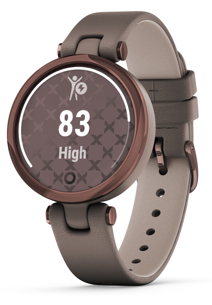 Garmin Lily Classic Dark Bronze-Paloma 010-02384-B0